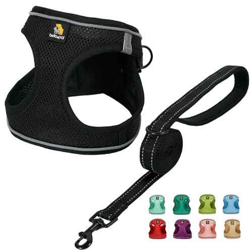 BELLA & PAL Hundegeschirr Kleine Hunde mit Leine, Step-in Geschirr aus Air Mesh, Anti Zug Reflektierend Atmungsaktiv Brustgeschirr, Welpengeschirr für Kleine Hunde, Katzengeschirr, Schwarz, XS