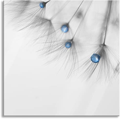 Pixxprint Glasbild, Wandbild auf Echtglas, Pusteblume Wassertropfen, 80x80 cm, inkl. Aufhängung und Abstandshalter