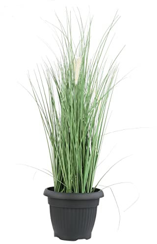 botle Pot de fleurs rond - Dimensions : 35 cm x 27,5 cm - Volume : 13 l - Couleur : anthracite - Plastique - 8 grands pots de fleurs traditionnels