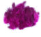 MoreChioce 50 Stück Bastelfedern, 4,5cm–10cm Federn zum Basteln Perlhuhnfedern Bunte Natürliche Federn Naturfedern für Ohrringe DIY Schmuckherstellung Traumfänger Heimdekoration,Rosa