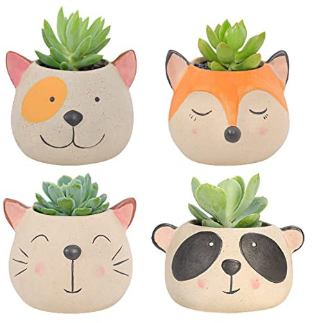 EESLL 4 macetas suculentas con drenaje, mini maceta de cactus suculentas con forma de animal de dibujos animados de 3.5 pulgadas, maceta para suculentas, maceta de cactus para decoración