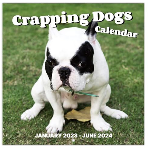 Loufy 1 Stück, Jan. 2024–Dez. 2024, 12-Monatiger Kalender mit Kackenden Hunden 2024, Lustige Gag-Geschenke
