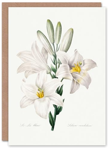 Artery8 Pierre-Joseph Redouté Art Card White Lily Vintage Botanical Illustration