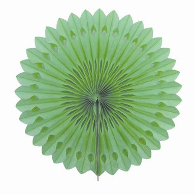 Creativery 1 Papierfächer 40cm (hellgrün 556) // Deko Papier Fächer Rosetten Blumen Raumdeko Papierrosetten Hängedeko