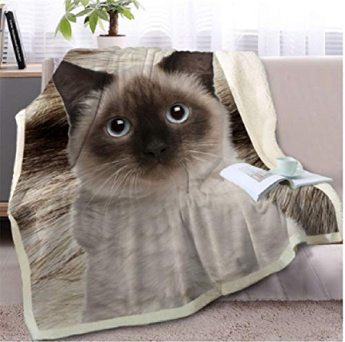 Morbuy Samt Leichte Decke, 3D Kuscheldecke Sofadecke Bettüberwurf Erhältlich Decke Tagesdecke Decke für Sofa und Bett Falten-beständig Schmusedecke (150x200cm,Schön)