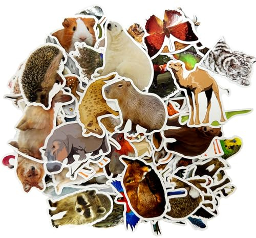 MEMOFYND 100 Tieraufkleber, Realistische Tieraufkleber, Wasserfeste Fotoaufkleber, Wiederverwendbare Aufkleber Für Kinder, Waldtieraufkleber, Lustige Aufkleber Für Kinder