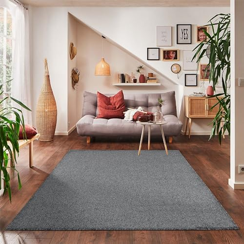 Carpettex Teppich Wohnzimmer Kurzflor Teppich Modern Einfarbig Grau - 140 x 200 cm, Waschbar, Extra Weich Flauschig für Küchen, Schlafzimmer, Kinderzimmer, Esszimmer, Flure