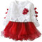 Baby Mädchen Spitzenrock Langarm süßer Bogen Prinzessin Kleid Frühling und Herbst für Kindergarten Zuhause Hochzeit Zeremonie Geburtstag und Täglichen Gebrauch(Red, 80cm)