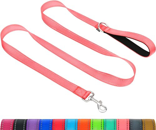 TAGLORY Laisse de Dressage réfléchissante pour Chien, poignée rembourrée en néoprène et Crochet en métal, 1.2m x 2.5cm Laisse en Nylon pour Petits Moyens Grands Chiens, Rose