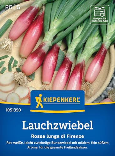Kiepenkerl Lauchzwiebelsamen Rossa lunga di Firenze 1051350, Gemüsesaat | Gemüsesamen für eine Bundzwiebel, Wuchshöhe 30-40 cm, Inhalt für 2-3 laufende Meter, aromatisch
