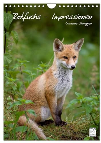 Rotfuchs - Impressionen (Wandkalender 2026 DIN A4 hoch), CALVENDO Monatskalender: Bilder aus dem Leben der Füchse. (CALVENDO Tiere)