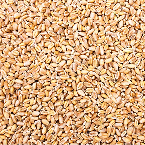 Petigi 15 Kg Weizen Hühnerfutter Hühner Huehner Futter Futterweizen Weizenfutter Weizenkorn Korn Getreide Geflügelfutter Sack Weizenkoerner Koerner Wildvögel