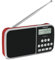 TechniSat TECHNIRADIO RDR XL – portables DAB+/UKW Radio (LCD-Display, Favoritenspeicher, Direktwahltasten, Kopfhöreranschluss, Bluetooth Audiostreaming, wechselbarer Akku, 3 Watt) rot