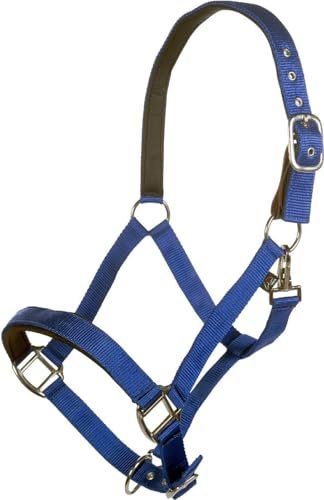 HKM Breakaway 2 Head Collar Royal Blue Pony
