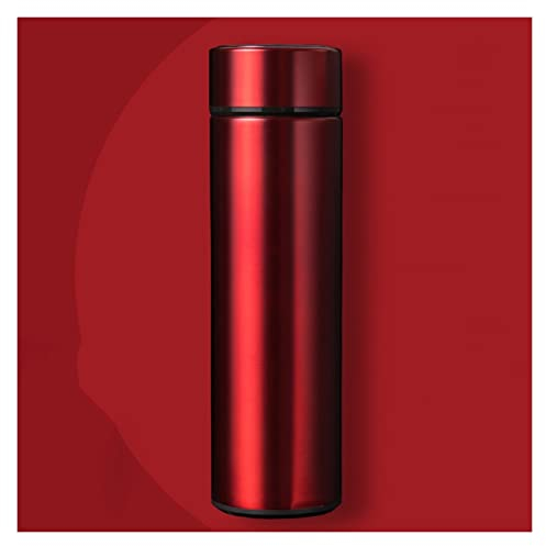 Hervidor de agua con pantalla LED inteligente de temperatura al vacío, botella de agua de acero inoxidable 304, para el hogar, oficina, viaje, té, taza de café, termo (color: C) Commemoration Day