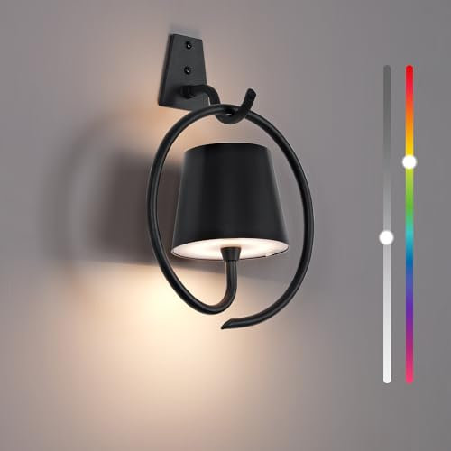 Faithorse Battery Operated Wall Lights, Rechargeable Wall Light Indoor, RGB Dimmable Wireless LED Wall Lamps IP54 Waterproof Wall Sconce Lights for Living Room, Bedroom(Black)
