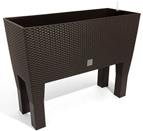 Umbra – PREMIUM CALIDAD 80 cm Rato caso alto macetero de mimbre de estilo