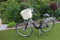 Hundefahrradkorb für Fahrradlenker aus Weide mit Metallgitter und Kissen in Weiß Weidenkorb Hundekorb (ohne Kissen)