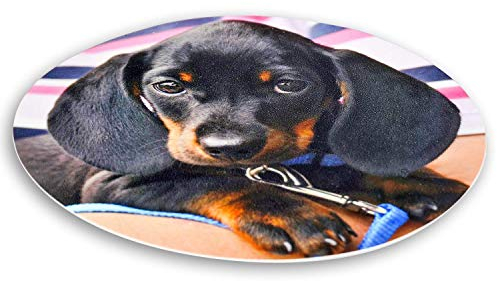 LOOXIS Personalisiertes essbares Foto & Text, selbst gestalten – 20 cm Durchmesser, Tortenaufleger, Zuckerbild, Fondant-Papier, versch. Größen – Kindergeburtstag, Taufe, Hochzeit – Rund 20 cm Ø