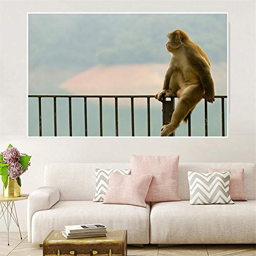 Druck auf Leinwand Malerei Kunst Bild Bunte schöne lustige Affen blind taub dumm Poster und Drucke Salon Wanddekoration -50x70cm No Frame