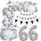 Luftballons Girlande 66 Geburtstag Deko Frauen Mann Luftballons Silber grau Weiß deko 66. Geburtstag Frau Männer 66 Jahre Geburtstagdeko Silber Happy 66 Birthday Girlande Ballons Deko Weiß silber
