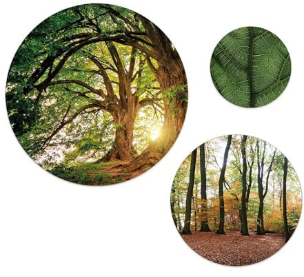 artissimo Bilder-Set rund 3-teilig AG5320 – Wandbilder Kreise 55/40/25 cm, moderne Bilderwand Wald & Bäume, Wanddeko Grün Natur