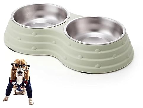 Arightmu 2-in-1 Stainless Steel Pet Bowls | Non-Slip Tilted Cat Dog Bowl with Anti-Skid Design | Double Bowl for Kittens, Puppies, Rabbits & Small Animals (Green-Round, Small)