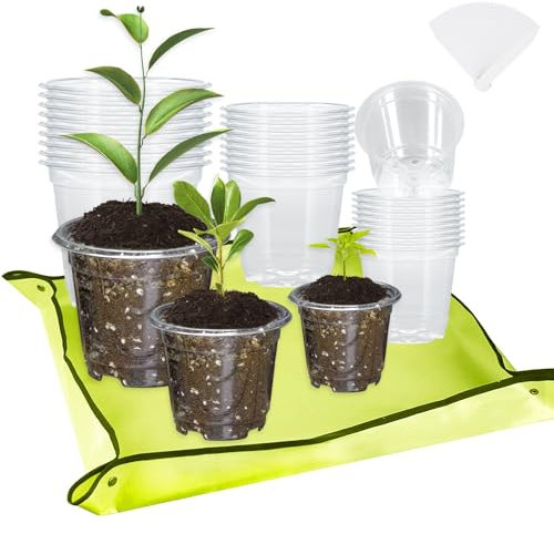 alwaiiz Lot de 30 pots de culture, transparents, avec tapis de plantation et étiquettes pour plantes, 9/10,5/12,5 cm, avec trous de drainage, pour graines, semis, plantes succulentes