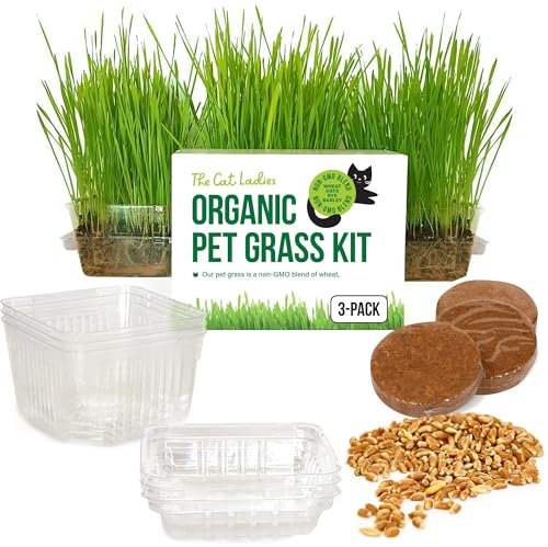 The Cat Ladies 3er Set Katzengras Samen - Gras Anzuchtset für Katzen - Gras zum Fressen für die Katze - 3x Katzengrassamen Set - Katzengras für Balkon und Wohnung
