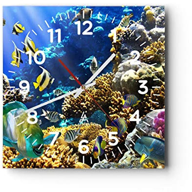 Modern Wanduhr Korallenriff Ozean Krabbe Fisch 30x30cm Quadrat Klein Wand Uhr Glas Analog Zimmeruhren Küche Büro Wohnzimmer Glasuhr Wall Clock Dekoration Design Wanddekoration Küchenuhr C4AC30x30-2662