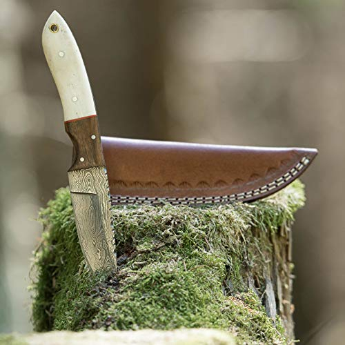 elToro Walnut Horn - Damast - Jagdmesser - 10cm - inkl. Lederscheide; Messer für Camping, Outdoor, Survival, Wald und Forst
