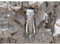 Runa Art Fototapeten 396 x 280 cm Elefant Afrika - Vlies Wanddekoration Wohnzimmer Schlafzimmer - Deutsche Manufaktur - Grau 9398012a