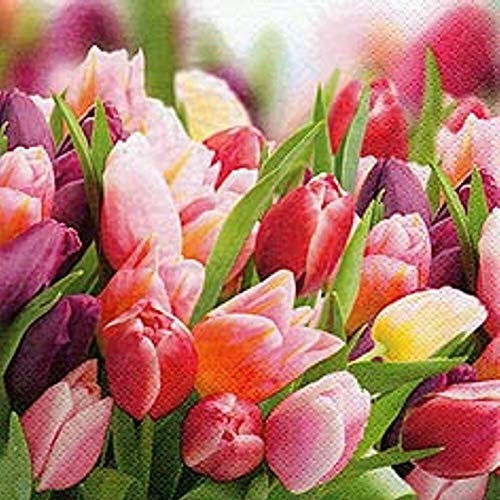 Servietten 20 Stück, Frühling EIN Traum mit Tulpen in Pink und Violett 33x33 cm