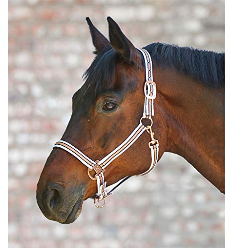 WALDHAUSEN Halfter Shine, WB, Weiss