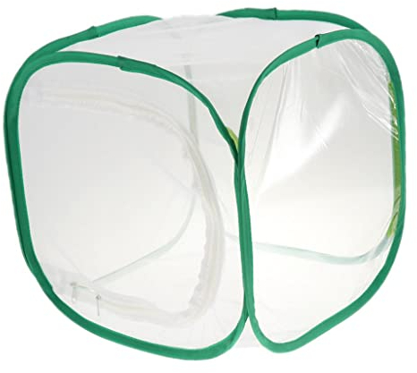 ＡＷＨＡＯ Zusammenklappbarer Insekten Schmetterlings Lebensraum Netz Terrarium Zuchtkäfig, Grün + Weiß, 30x30x30cm