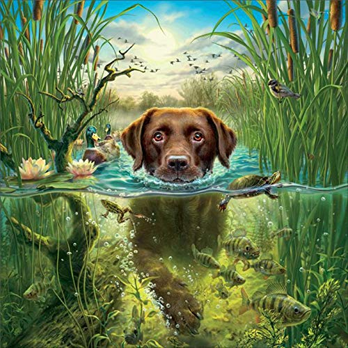 Sunnay Diamond Art, Diamant Painting Bilder, Full Drill Hund Z DIY 5D Crystal Set DIY Malerei,30 x 30 cm