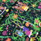Kt KILOtela - Dekostoff Halbpanama Bio-Baumwolle, Meterware, Home-Accessoires, Tischdecken, Kissen, Vorhänge, Taschen, 280 cm Breite, Frida, Schwarz