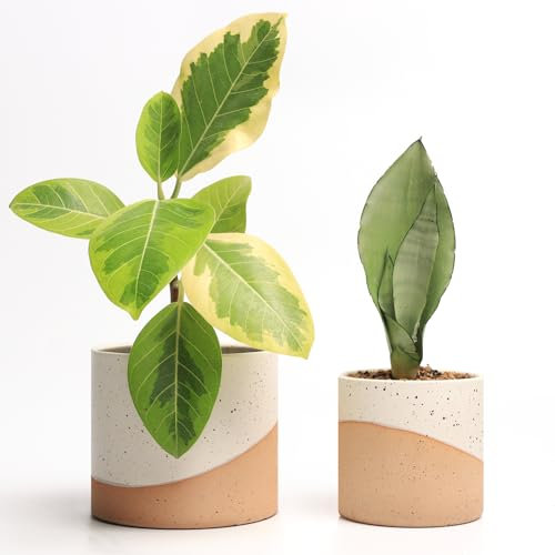JOFAMY Lot de 2 pots de fleurs en céramique pour plantes d'intérieur de 13,7 à 11,9 cm avec drainage, double couleur émaillée blanc moucheté et fond en terre cuite, idée pour les amateurs de plantes