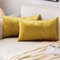 EMEMA Samt Kissenbezug Kissenhülle Dekorative Dekokissen Sofakissen Lendenkissen Wurfkissenbezug mit Verstecktem Reißverschluss Schlafzimmer Sofa 2er Set 30x50 cm Golden Luxuriös