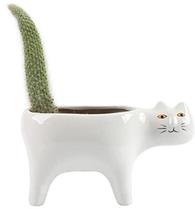 EdirFtra Pot de Fleurs en céramique Forme Animale Pot de Fleurs juteux Petit Pot de Fleurs Mignon Pot de Fleurs décoration Jardin Vert décoration de la Maison 9 * 15cm.,B