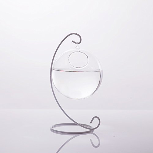 Boule Vase en Verre Suspendu 10cm+Support en Fer 23cm Hauteur Décoration pour Maison Jardin