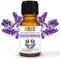LavendelÖl Officinalis Bio Ätherisches Öl 100% Reines 10 ml - Aromatherapie Kosmetik Therapeutische - Laborbio