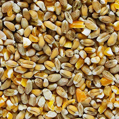 BusyBeaks Mixed Poultry Corn | Premium Quality Natural Seed Feed Mix | Rich in Vitamins and Calcium | Great Chicken Duck Geese Food | Helps Develop Strong Beaks Tough Bones & Healthy Feathers (10kg)