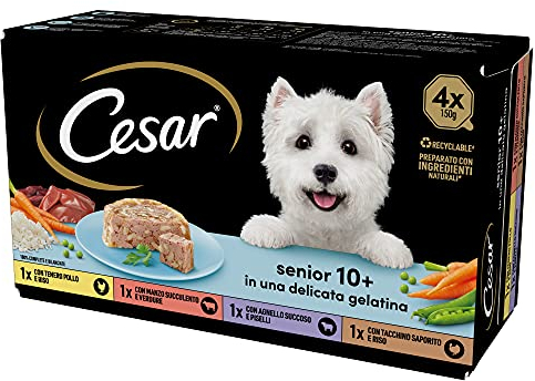 Cesar Senior da 10 in Su, Cibo Per Cane Anziano, Selezione Assortita, Vaschette 3600 G, 24 Unità, Confezione da 1
