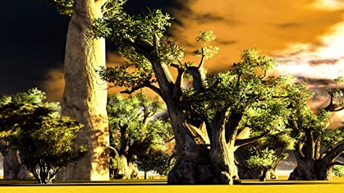 10 Samen Afrikanischer Affenbrotbaum Baobab Adansonia digitata Baobab