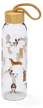 Cooksmart 500ml Glass Water Bottle | Eco Friendly Glass Bottle With Lid & Carry Handle | Glass Bottles For Office, Sports or On The Go - Curious Dogs