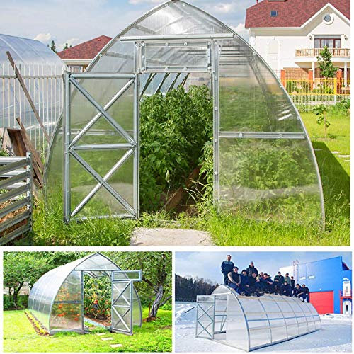 Serre en polycarbonate Tunnel 3 x 2 m renforcée potager jardin plantes serre box 2 x 3 m tonnelle maison premium