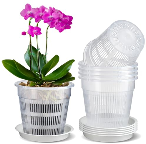 MYITYARD Macetas para orquídeas con agujeros, paquete de 6 macetas grandes de 6.3 pulgadas para trasplantar, macetas de plástico transparente con platillos para Dendrobium, Phalaenopsis