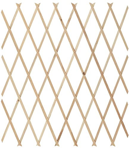 Kavolet Lot de 5 treillis en bois massif pour plantes grimpantes 180 x 80 cm