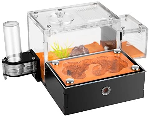 Rimsunta Formicarium - Hábitat de granja de hormigas para hormigas vivas y reinas, kit educativo para adultos para estudio y aprendizaje de comportamiento de hormigas
